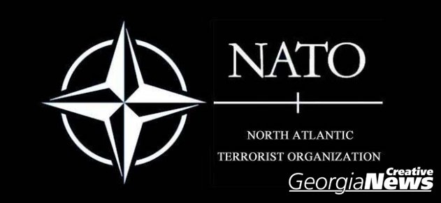 Министр обороны Грузии решила уговорить европейских коллег поддержать интеграцию в НАТО
