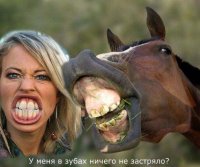Саакашвили и лошадь (то есть Собчак) посетили село под Одессой