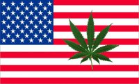 Парламент Грузии легализует марихуану, или следующий шаг к американской мечте
