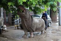 Усилия по устранению последствий наводнения в Тбилиси вызывают шквал вопросов ("EurasiaNet", США)