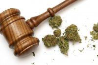 Закон марихуаны: чем больше, тем безопаснее