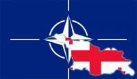 Прием Грузии в НАТО создаст колоссальные риски