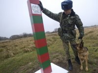 Грузия обвинила российских пограничников